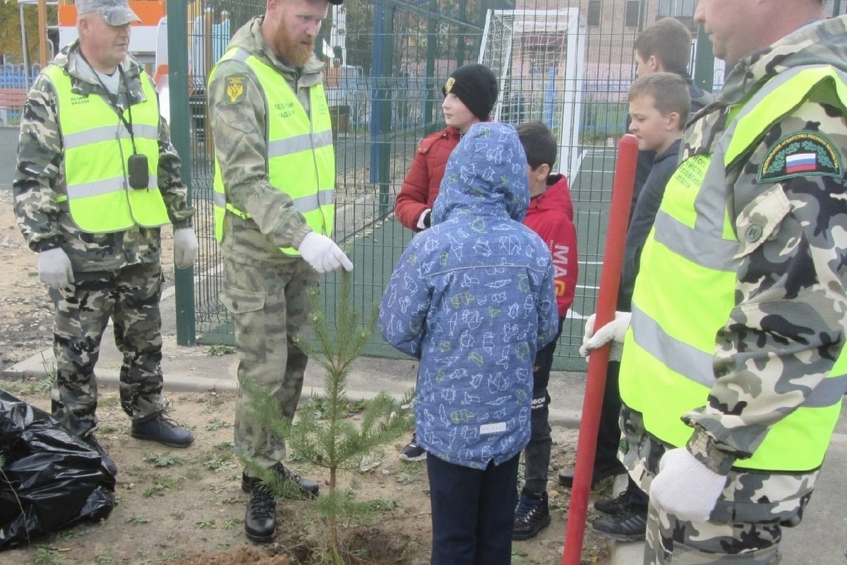 Гаврилов-Ямские школьники присоединились к акции «Сохраним лес»
