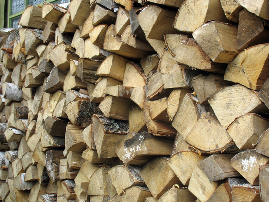 В Германии взлетели цены на дрова