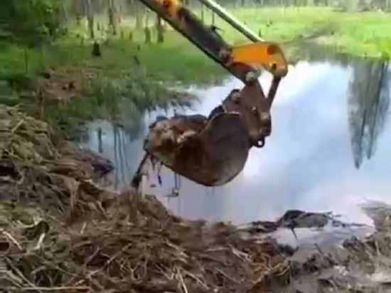 Бобровые хатки разрушили рядом с дорогами в Старорусском районе