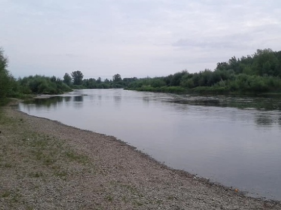 Аномальную жару и высокую пожарную опасность прогнозируют в Курганской области