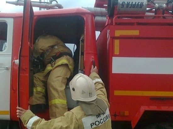 В Калининграде потушили горящую бытовку без помощи пожарных