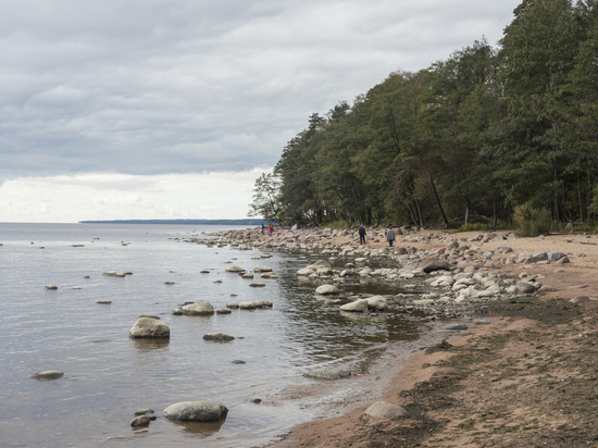 Эколог объяснила, как защитить береговую линию Финского залива от размыва