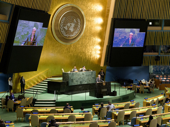 Турция выступила за отмену права «вето» в Совбезе ООН