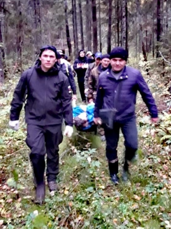 В Ярославской области полицейские вынесли пенсионерку из леса на руках