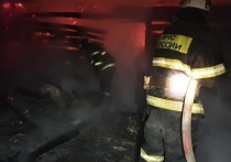Сегодня, ночью 24 сентября, сотрудники ГУ МЧС России по Тульской области получили сообщение о возгорании жилого дома, расположенного в деревне Черемисино Чернского района