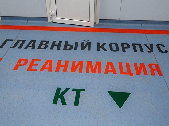 За сутки коронавирус подтвердился почти у 1200 южноуральцев
