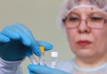 В Забайкалье за сутки выявлено еще 265 случаев заражения коронавирусной инфекцией