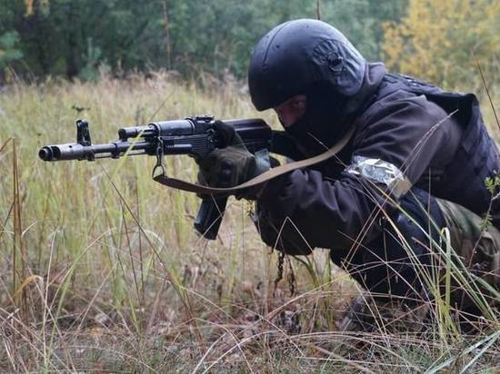 Брянский ОМОН отработал задержание бандитов в лесу