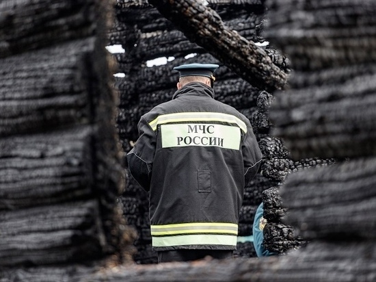 Девять кур стали жертвой пожара в Великолукском районе