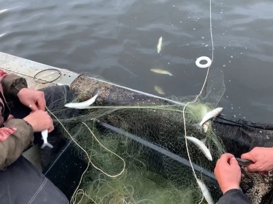 На Печоре задержали браконьера