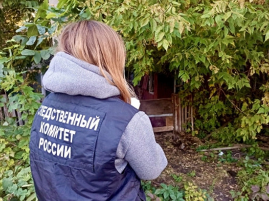 Под Саратовом пожилой хозяин дома избил до смерти своего гостя
