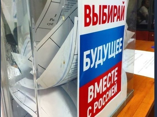 Голосование на референдуме в Архангельской области проходит без нарушений