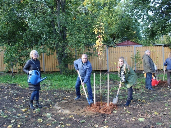 Более 70 растений украсили Губернаторский сад в Петрозаводске
