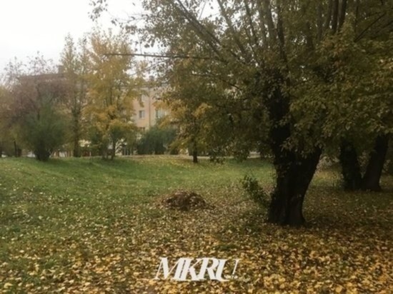 Возможны порывы ветра до 20 м/с