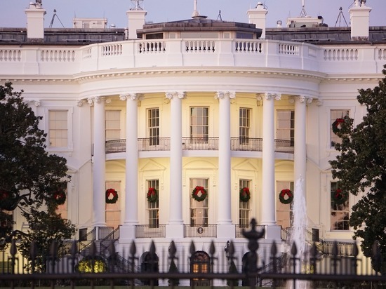 бесплатное фото: Белый дом, Вашингтон, Тюльпаны