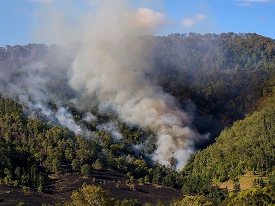 В районе Бурятии локализовали лесной пожар