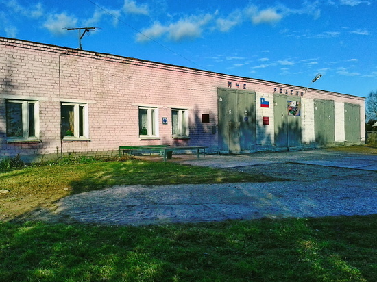 В Починковском районе сгорел автомобиль