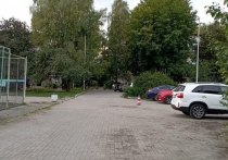 В Светлогорске 74-летний водитель Nissan сбил десятилетнего мальчика на велосипеде. Об этом сообщает пресс-служба ГИБДД по Калининградской области.