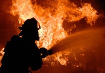 Пожар мог забрать жизнь северянина в Ловозере, но отважно сражавшиеся с огнем спасатели вызволили мужчину из полыхающего дома. Еще четверо были эвакуированы.