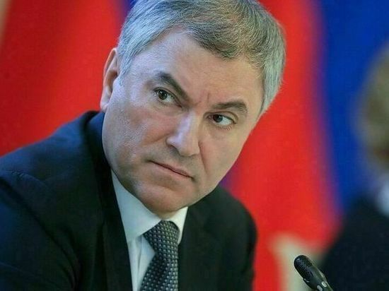 Мобилизация в России: Володин призвал сообщать об ошибках