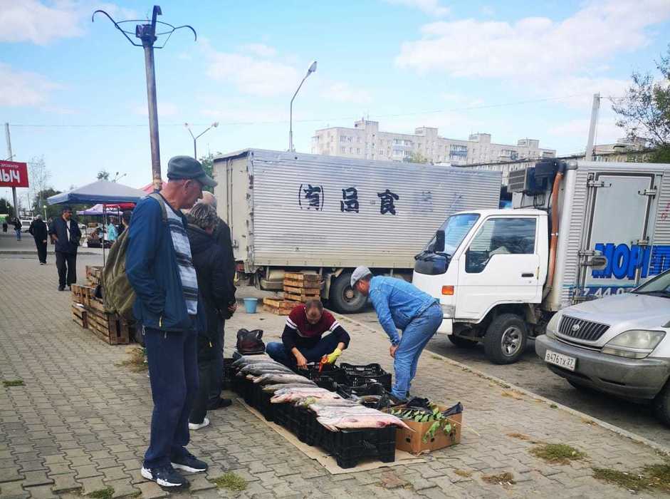 Мертвая рыба заполонила улицы Хабаровска