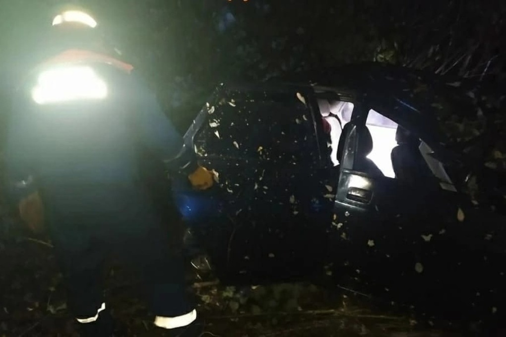 Костромские трагедии: в ДТП у деревни Авдотьино погибли лось и водитель