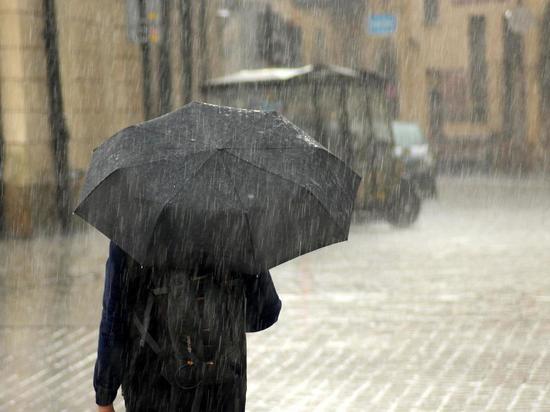 Рабочая неделя в Ленобласти начнется с небольших дождей