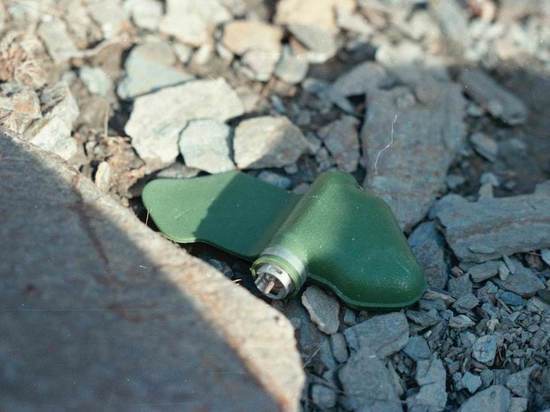 ВФУ разбросали на западе Донецка мины-лепестки