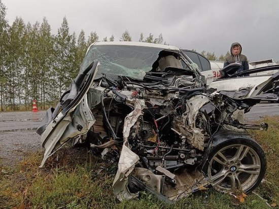 Двое взрослых и один ребёнок погибли в массовой аварии в Рязанской области