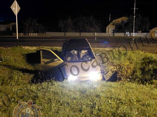 В Тёпло-Огарёвском районе водитель без прав съехал в кювет и попал в больницу