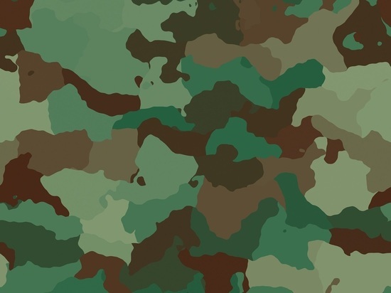 Военком Карелии рассказал, что при частичной мобилизации медкомиссия не проводится