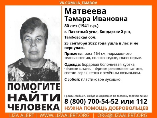 В Тамбовской области разыскивают пенсионерку, которая ушла в лес и не вернулась