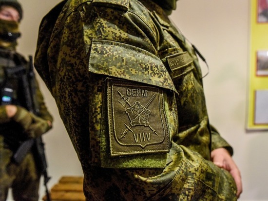В Курской области объявили о завершении формирования батальона «Сейм»
