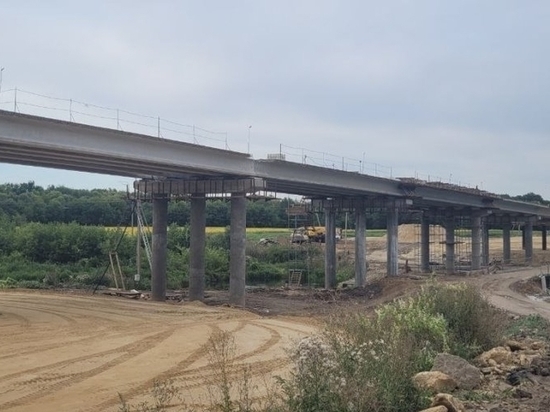 На Орловщине мост через реку Сосну отремонтируют к 30 ноября