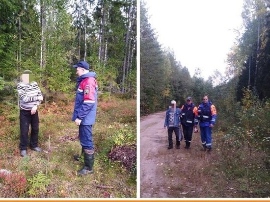 Спасатели вывели восемь человек из лесов в Ленобласти за неделю