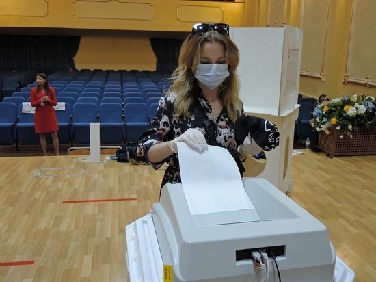Зарубежные наблюдатели отметили хорошую организацию референдумов в Подмосковье