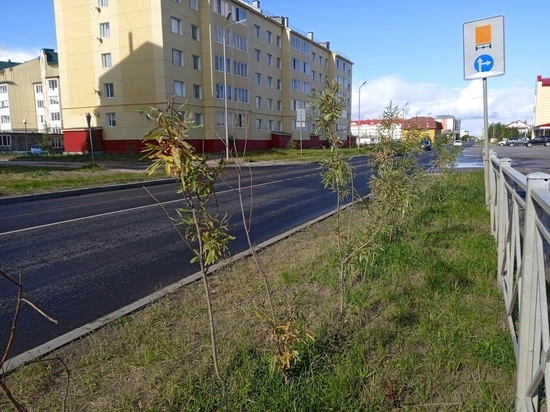 Подрядчик завершил работы на улице Первомайской раньше контрактного срока.