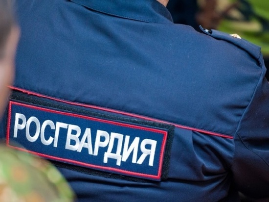 В Волгоградской области росгвардейцы задержали нарушителей правопорядка