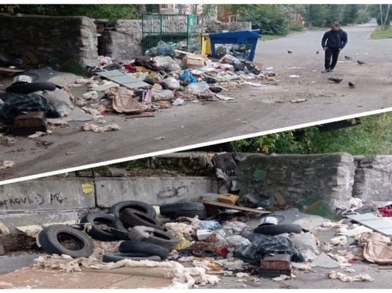Горы мусора возмутили жителей Первомайки в Новосибирске