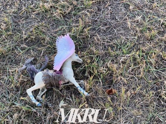 Росгвардейцы задержали находящегося в розыске алиментщика в Краснокаменске