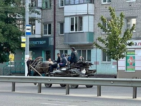 В Брянске семья цыган бросилась под колеса машин на улице Никитина