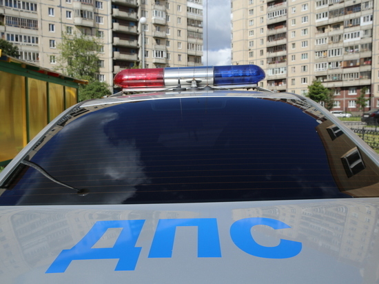 В Багратионовске полицейские вывели из машины пьяного и голого автомобилиста