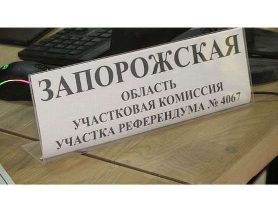 Жители Новороссии, проживающие в Смоленске, голосуют на референдуме