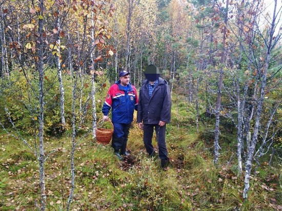 Очередной мужчина из Подпорожского района ушел в лес и не нашел дорогу обратно