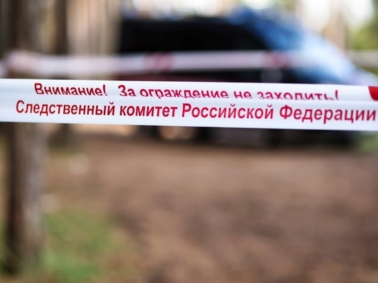 В Тверской области двое мужчин жестоко расправились с таксистом