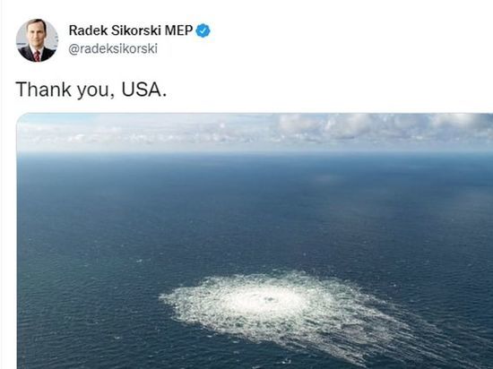 Бывший глава МИД Польши Радослав Сикорский в соцсети возложил на США ответственность за ЧП на трубопроводе 