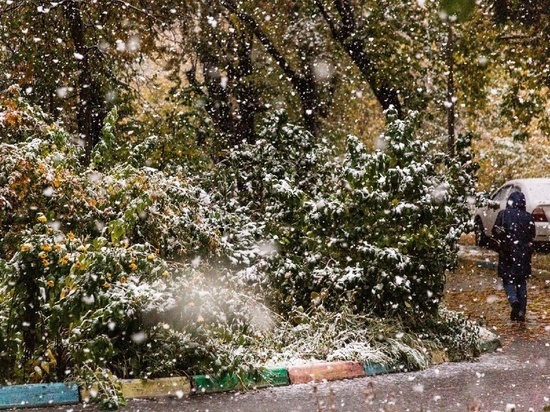 Снегопады в Новосибирске задержатся на три дня