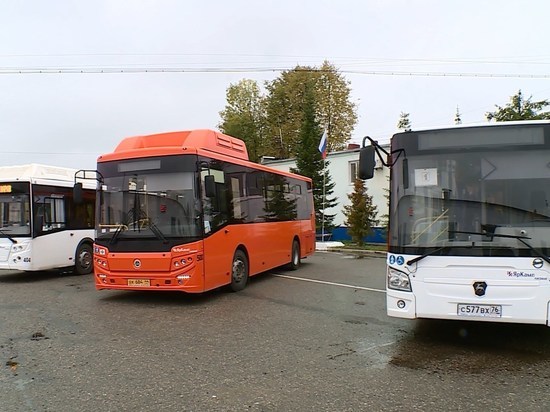 Автобусные смотрины: костромские транспортники выбирают машины большой вместимости