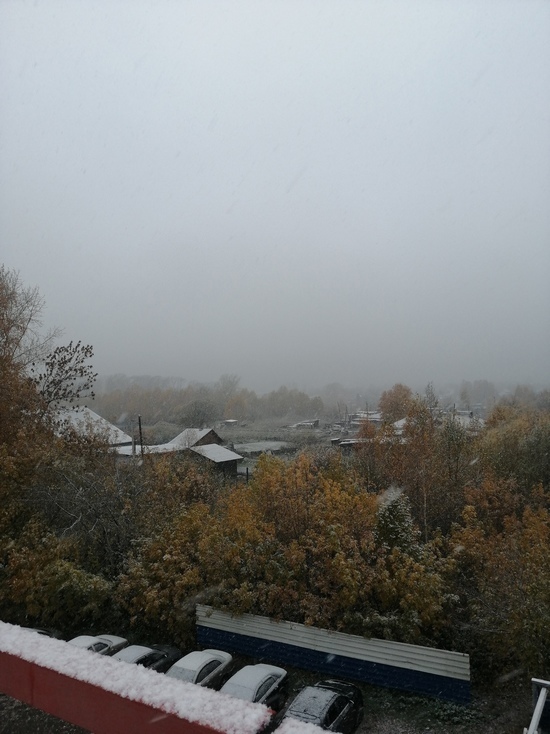 Первый снег выпал в Кузбассе