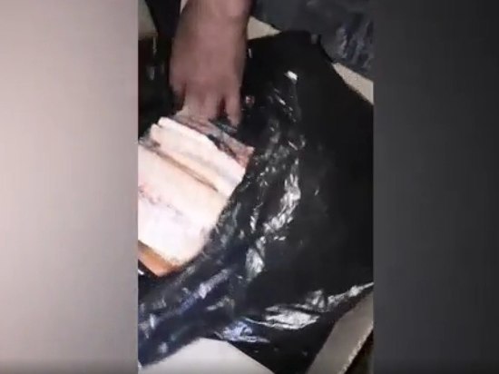 ФСБ пресекла контрабанду краснокнижной рыбы в Красноярском крае на 7 млн